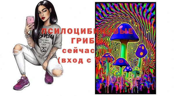 трава Пересвет