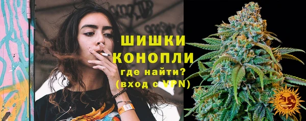 трава Пересвет