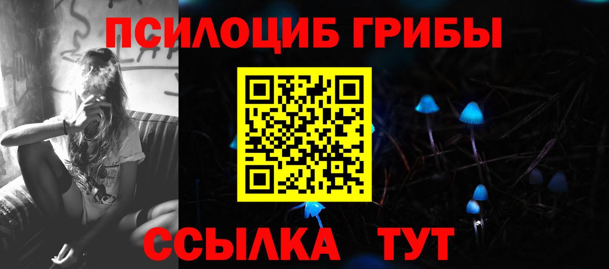 Галлюциногенные грибы Cubensis Аргун